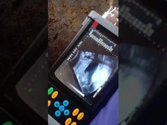 पोर्टेबल पशु चिकित्सा अल्ट्रासाउंड स्कैनर BR-VET7