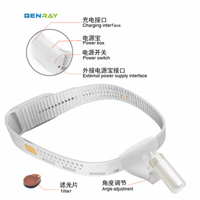 ENT Dental GNY Veterinary Surgery Portable Headlight