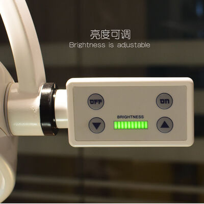 Wall Mounted ENT Dental GNY Veterinary Surgery LED Operating Lamp Exam Lamp