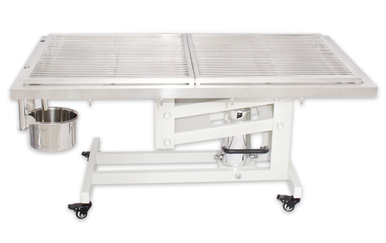 Stainless Steel 304 Electric Veterinary Operating Table Animal Operation Table